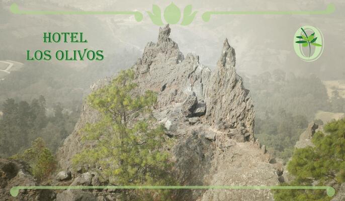 Hotel Los Olivos