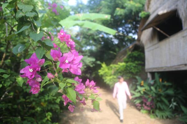 Naga House, Kampot