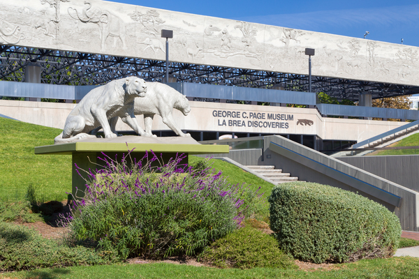 La Brea Tar Pits and Museum