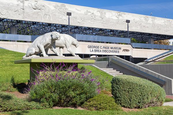 La Brea Tar Pits and Museum