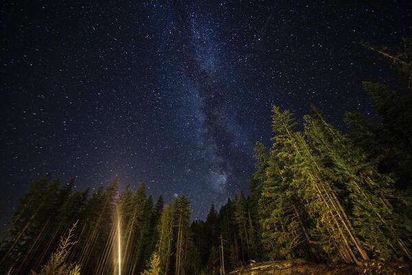 Whistler RV Park & Campgrounds
