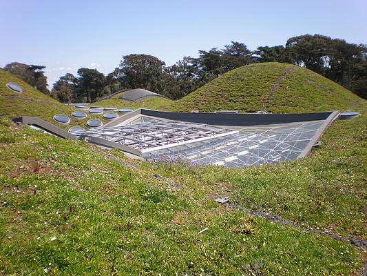 California Academy of Sciences