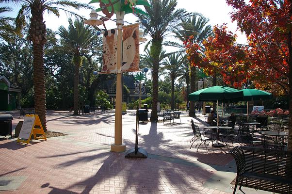 Audubon Zoo