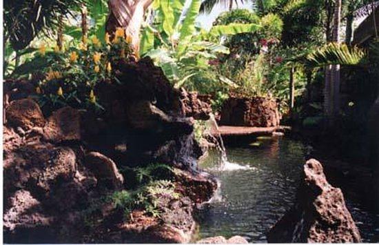 Prince Kuhio Condos