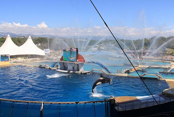 Marineland