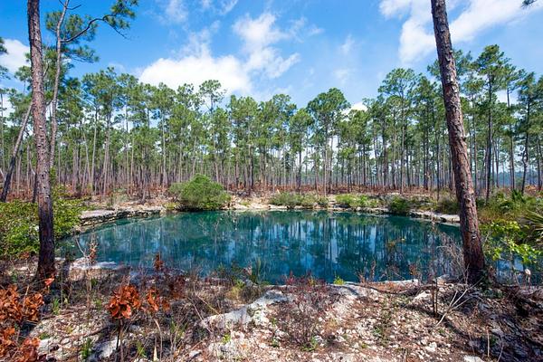 Abaco National Park