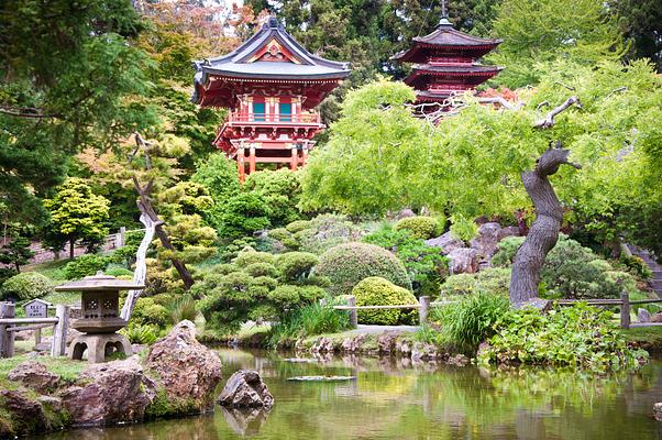 Japanese Tea Garden