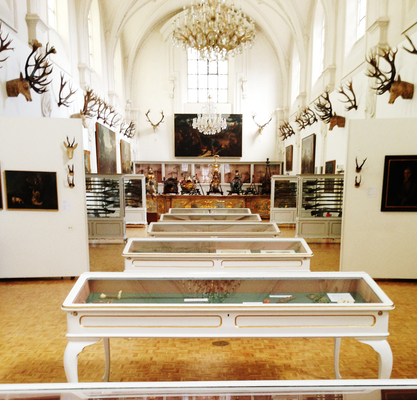 German Hunting and Fishing Museum