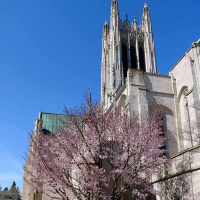 St. John's Cathedral