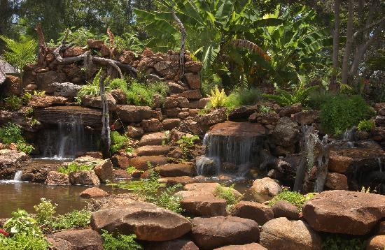 Amanzi Lodge