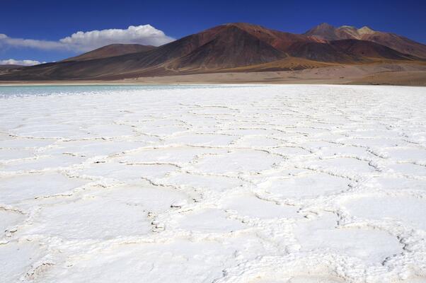 Explora en Atacama
