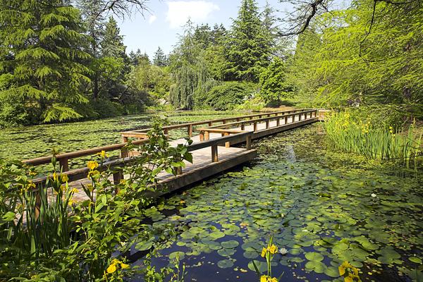 VanDusen Botanical Garden