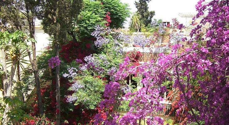 Riad Malika