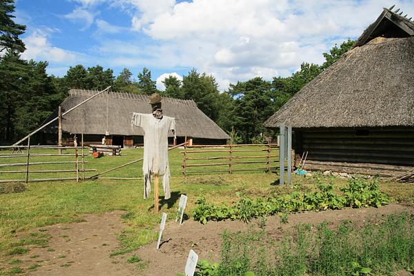 Eesti Vabaohumuuseum