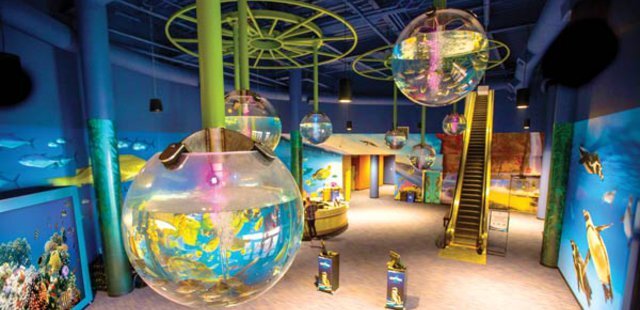 OdySea Aquarium