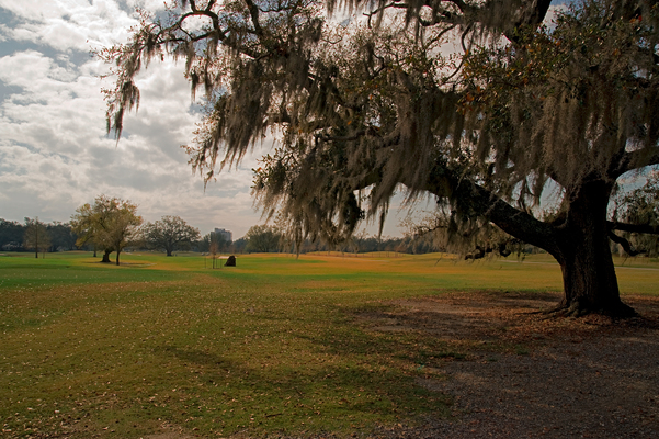 Audubon Park