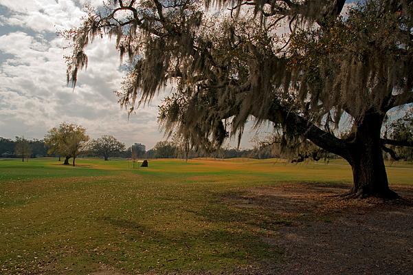 Audubon Park