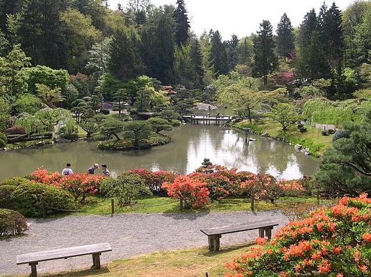 Seattle Japanese Garden