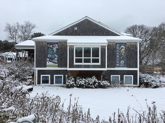 Cape Cod Museum of Natural History