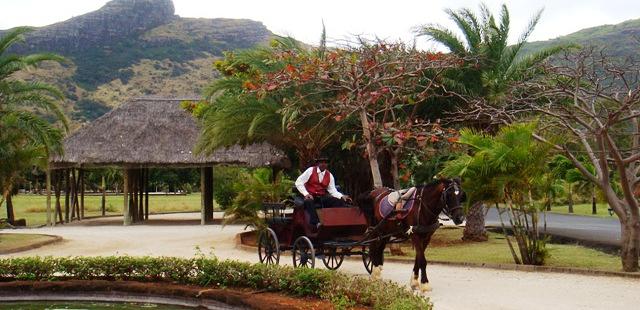 Domaine Les Pailles