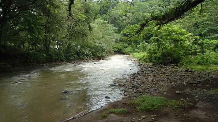 Carara National Park