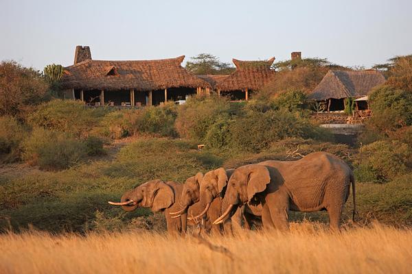 Great Plains Conservation ol Donyo Lodge