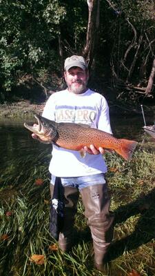 Trout Hollow Lodge