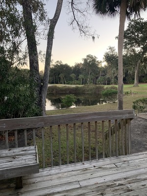 Palmetto Dunes Oceanfront Resort