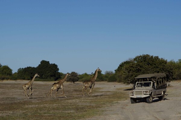 Chobe Game Lodge