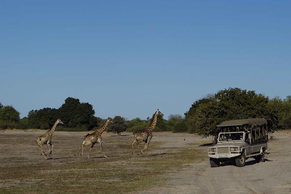 Chobe Game Lodge