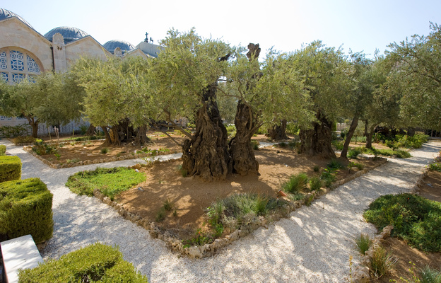 Garden of Gethsemane