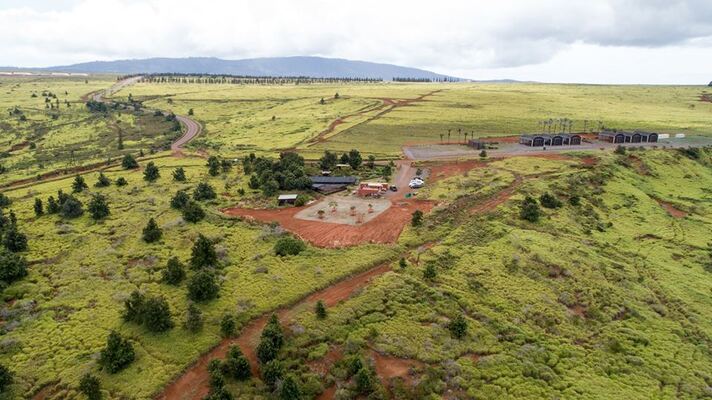 Lanai Cat Sanctuary