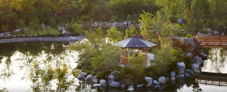Frederik Meijer Gardens & Sculpture Park