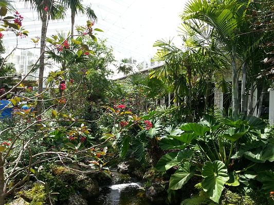 Fairchild Tropical Botanic Garden