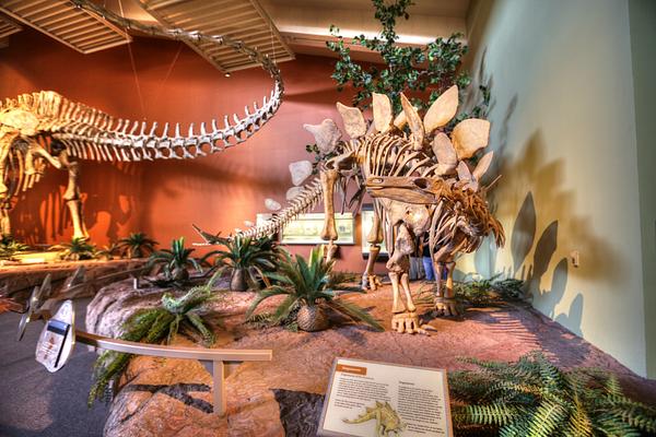 New Mexico Museum of Natural History and Science