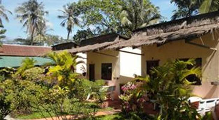Orchid Guesthouse