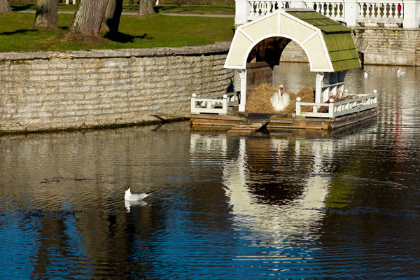 Kadriorg Palace