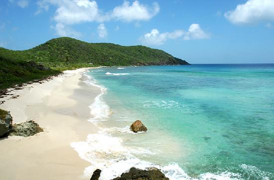 Guana Island