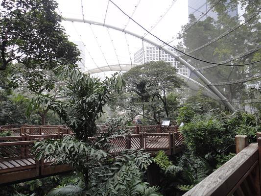 Edward Youde Aviary