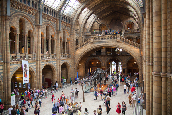 Natural History Museum