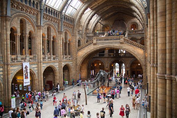 Natural History Museum