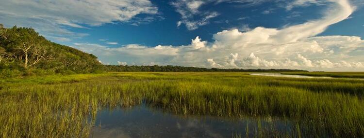 St. Andrews State Park