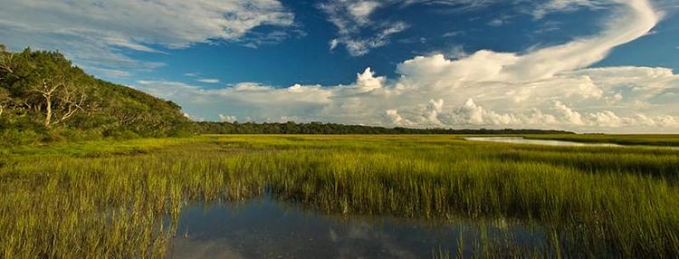 St. Andrews State Park