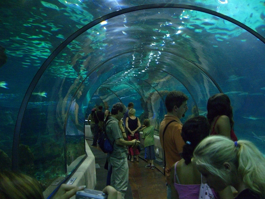 L???Aquarium de Barcelona