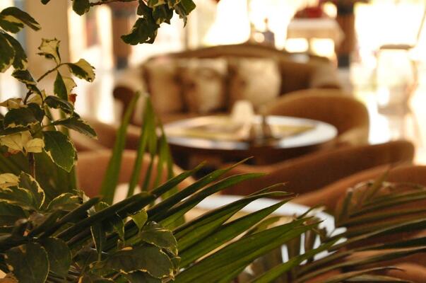 Addissinia Hotel