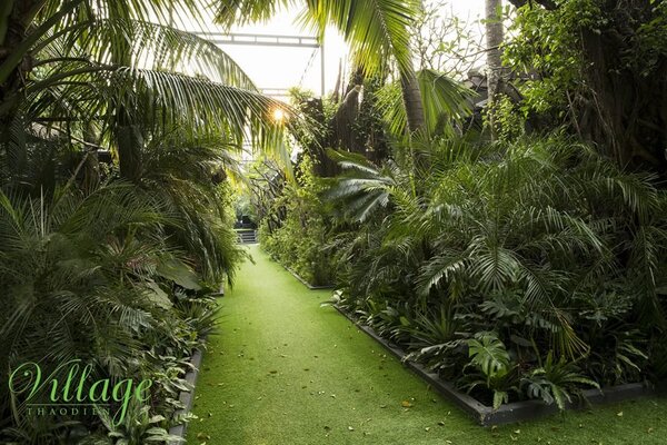 Thao Dien Boutique Hotel