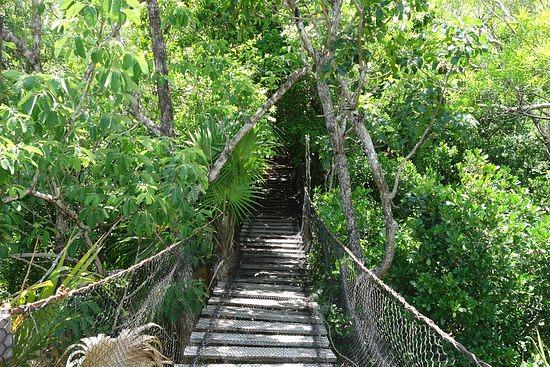 Jardin Botanico Dr. Alfredo Barrera Marin