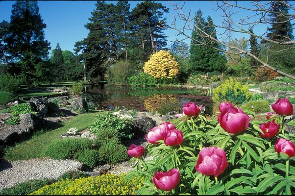 University of Oxford Botanic Garden