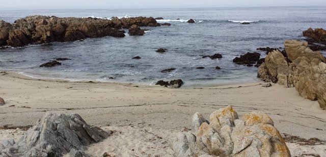 Asilomar State Beach