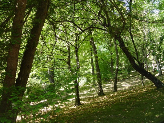 Orto Botanico di Siena